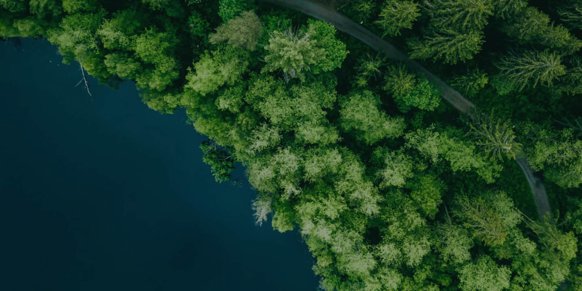 聯係快猫视频回家导航