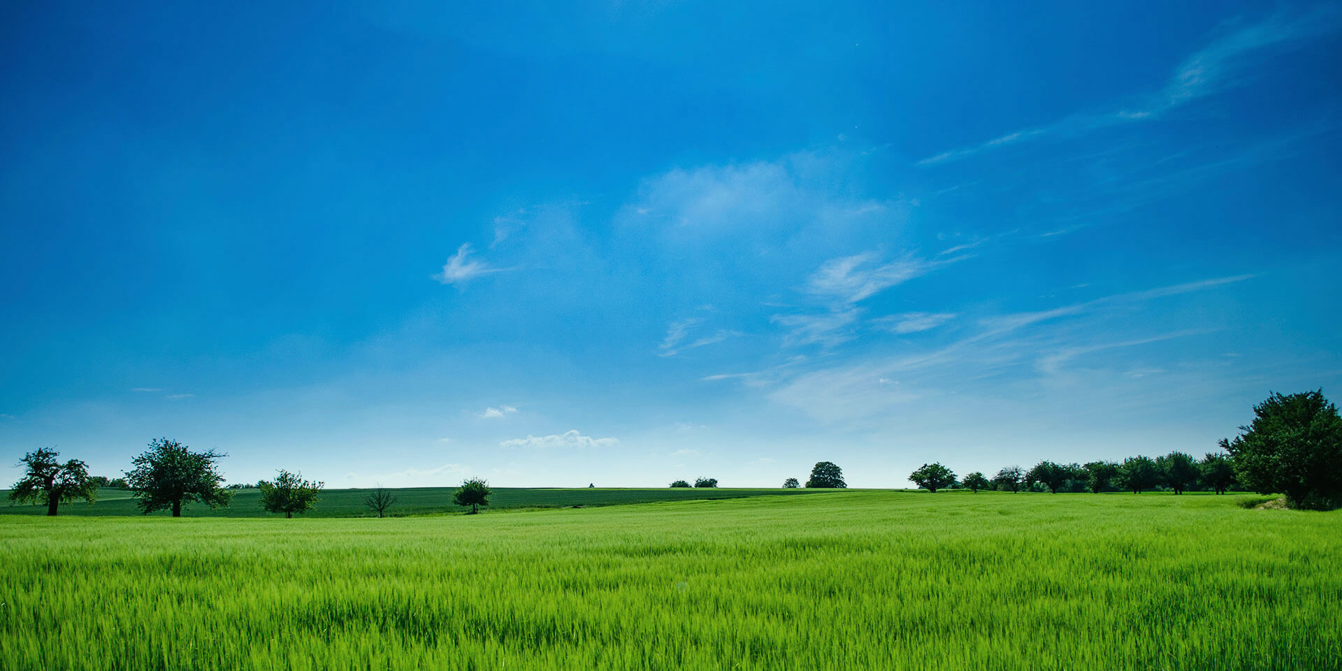 快猫在线观看入口其它參數檢測